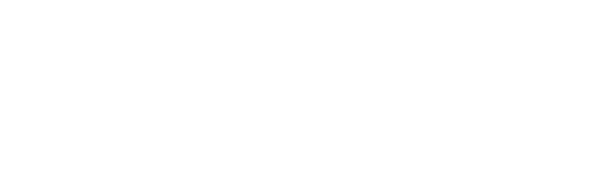 Full stack developer campus